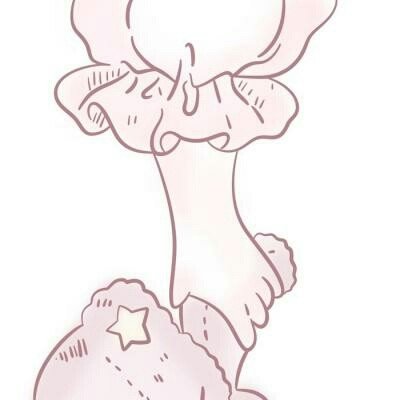 田曦薇全集有广数量95花断层第一